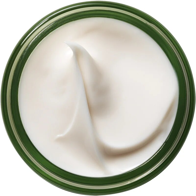 Origins A Perfect World™ Antioxidant Moisturizer With White Tea hranilna antioksidacijska krema 50 ml