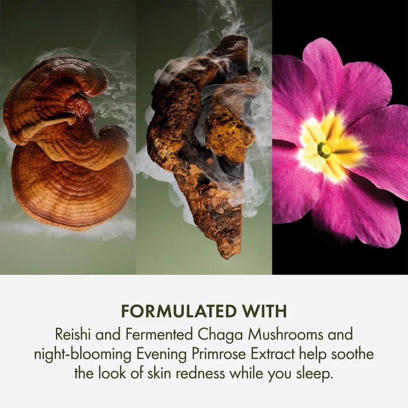 Origins Dr. Andrew Weil for ™ Mega-Mushroom Overnight Recovery Cream pomirjevalna in vlažilna maska za noč 50 ml
