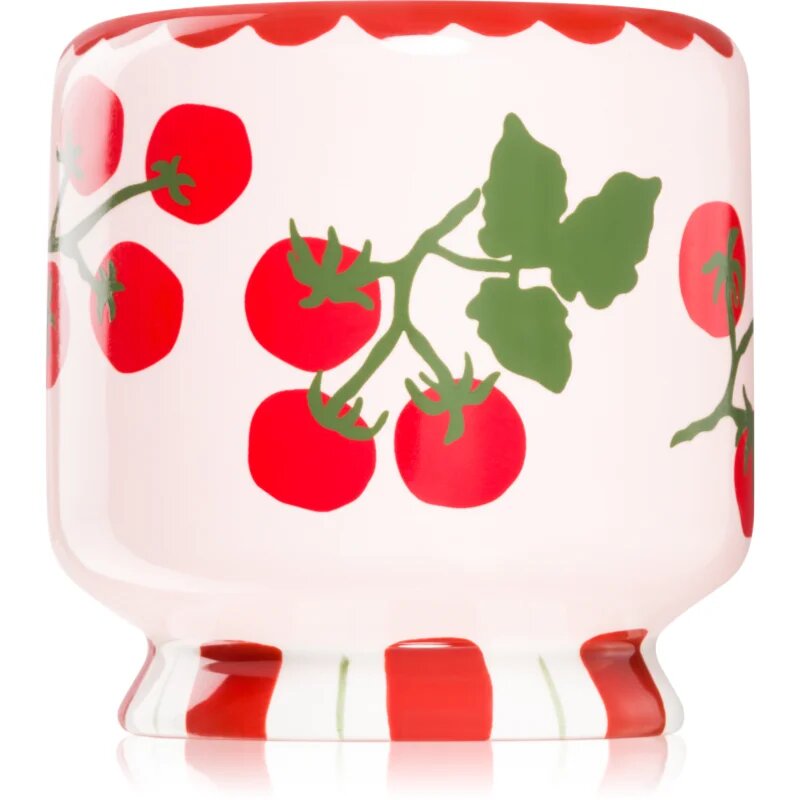 Paddywax A Dopo Tomato Vine dišeča sveča 226 g