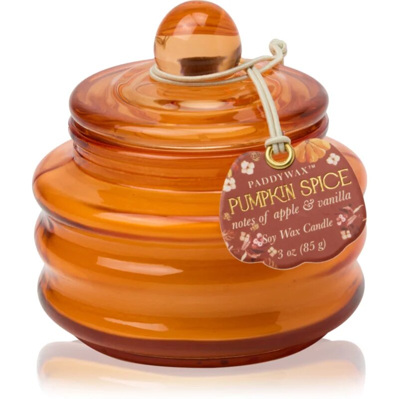 Paddywax Pumpkin Spice dišeča sveča 58 g