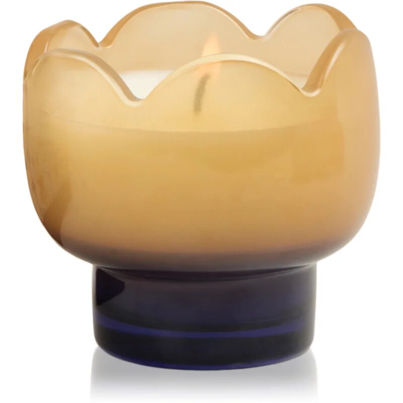 Paddywax Tulip Garden & Grove dišeča sveča 155 g