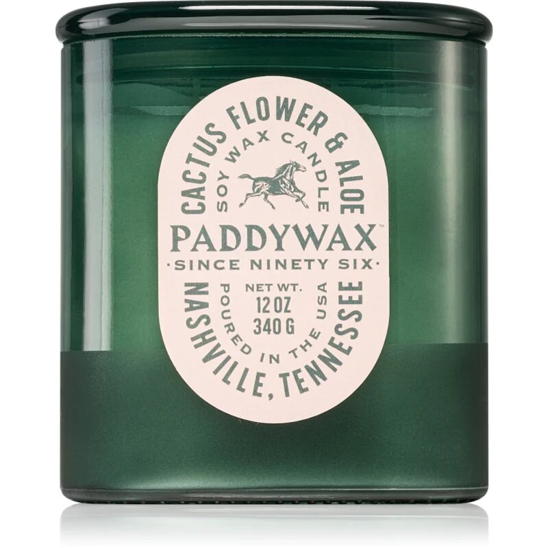 Paddywax Vista Cactus Flower & Aloe dišeča sveča 340 g