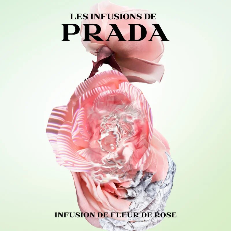 Prada Les Infusions: Infusion Rose parfumska voda uniseks 100 ml