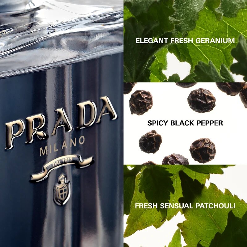 Prada L'Homme toaletna voda za moške 100 ml