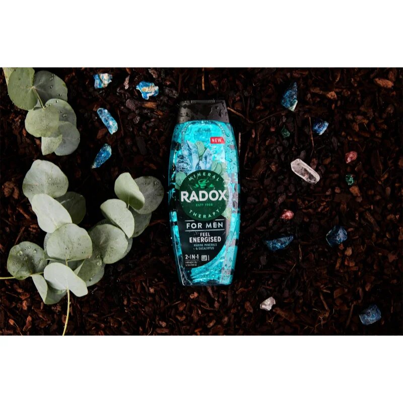Radox Feel Energised gel za prhanje za moške 2 v 1 450 ml