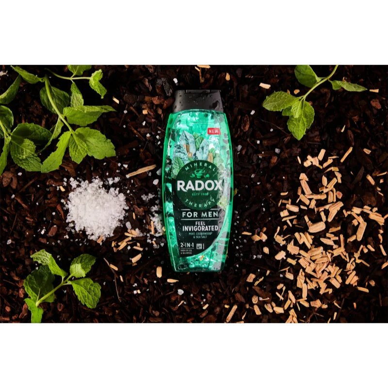 Radox Feel Invigorated gel za prhanje za moške 2 v 1 450 ml