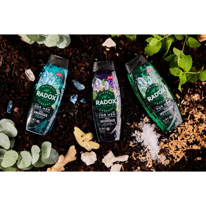 Radox Feel Invigorated gel za prhanje za moške 2 v 1 450 ml