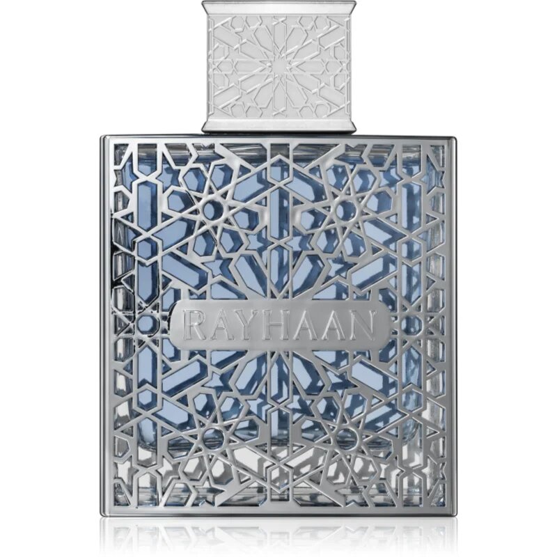 Rayhaan Aquatica parfumska voda za moške 100 ml