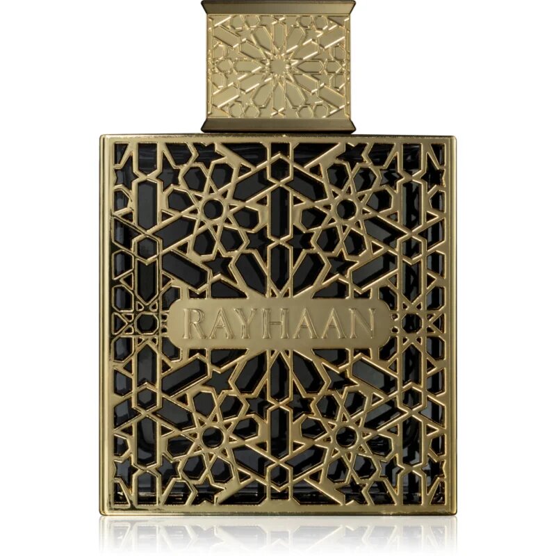 Rayhaan Elixir parfumska voda za moške 100 ml