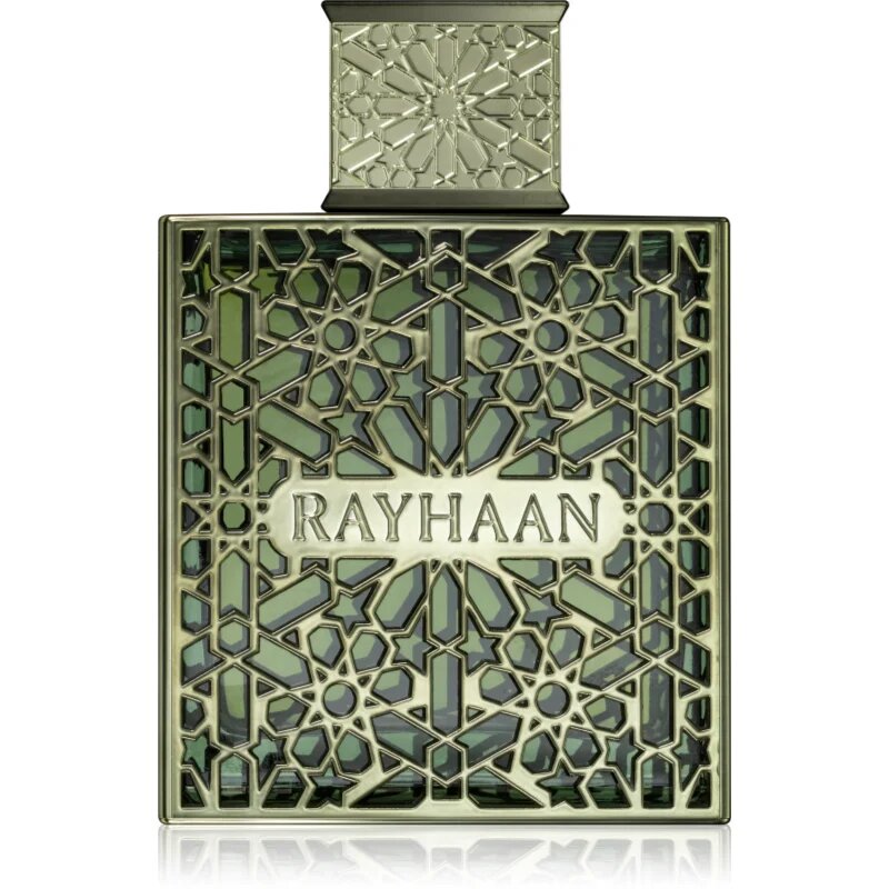 Rayhaan Terra parfumska voda za moške 100 ml