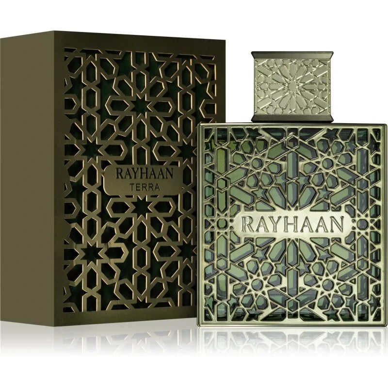 Rayhaan Terra parfumska voda za moške 100 ml