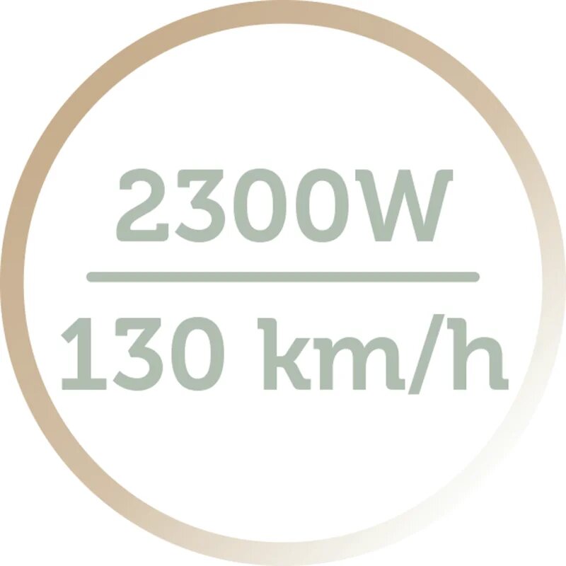 Remington Botanicals AC5860 sušilnik za lase 1 kos