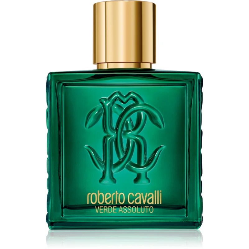 Roberto Cavalli Uomo Verde Assoluto parfumska voda za moške 100 ml