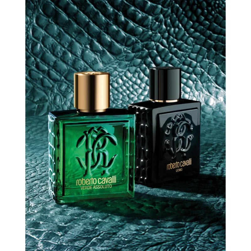 Roberto Cavalli Uomo Verde Assoluto parfumska voda za moške 100 ml