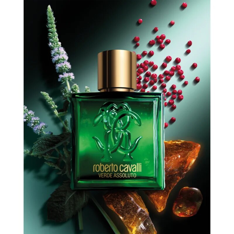 Roberto Cavalli Uomo Verde Assoluto parfumska voda za moške 100 ml