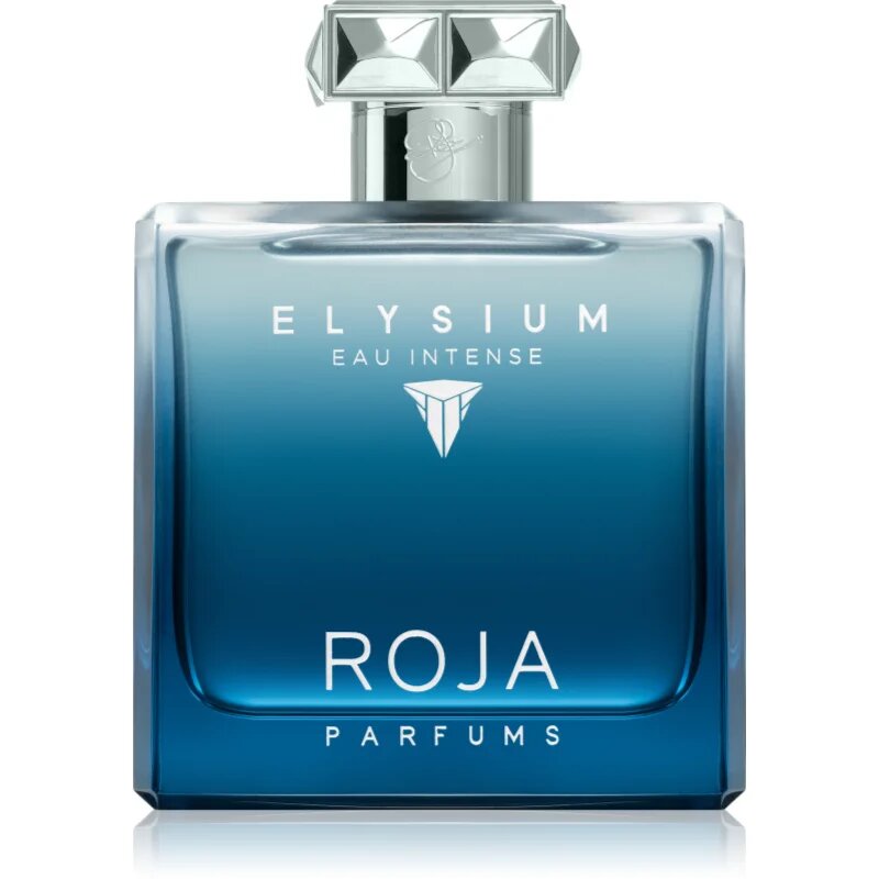 Roja Parfums Elysium Eau Intense parfumska voda za moške 100 ml