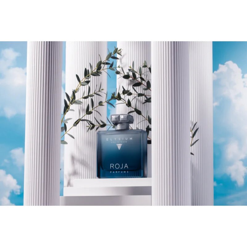 Roja Parfums Elysium Eau Intense parfumska voda za moške 100 ml
