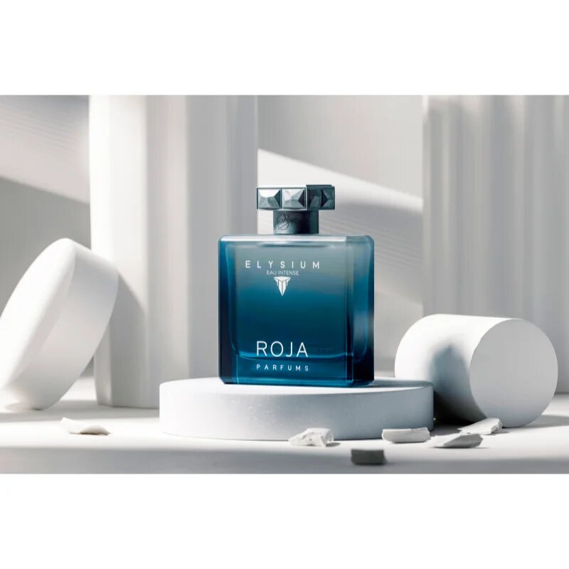 Roja Parfums Elysium Eau Intense parfumska voda za moške 100 ml