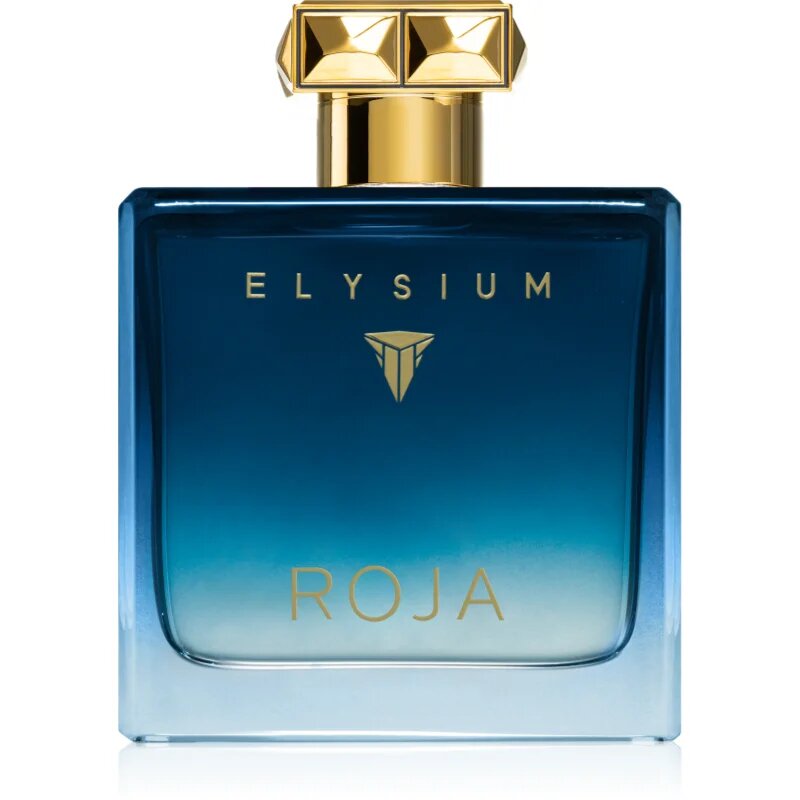 Roja Parfums Elysium Pour Homme parfumska voda za moške 100 ml