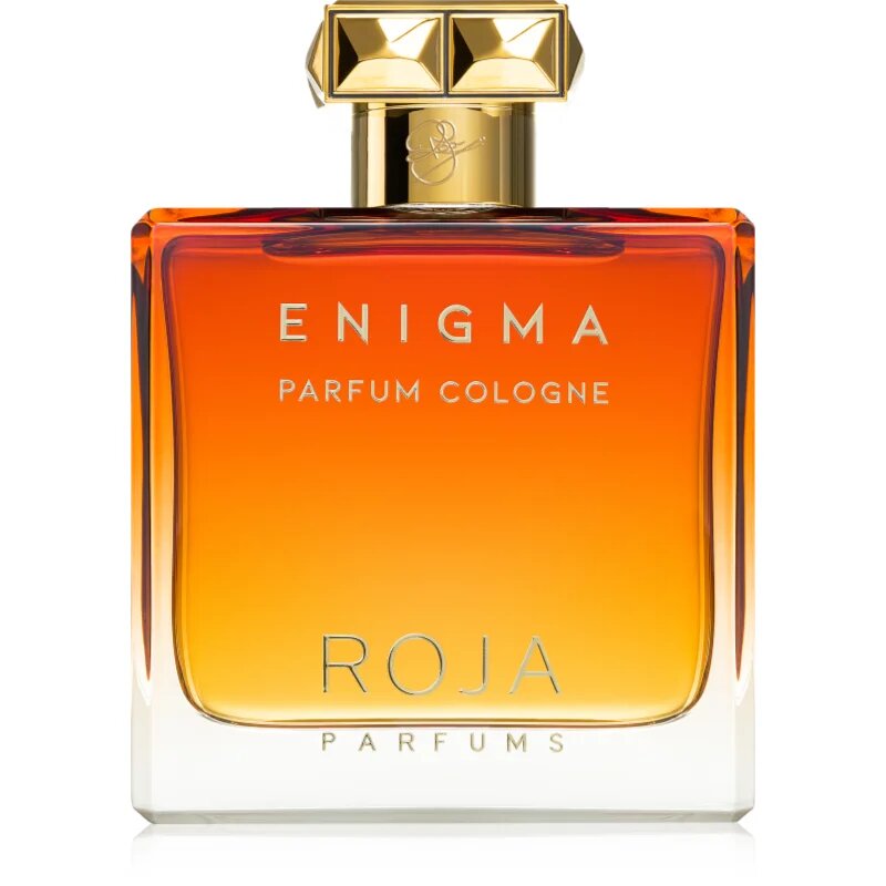 Roja Parfums Enigma Parfum Cologne kolonjska voda za moške 100 ml