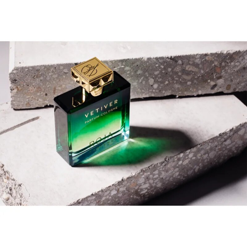 Roja Parfums Vetiver kolonjska voda za moške 100 ml