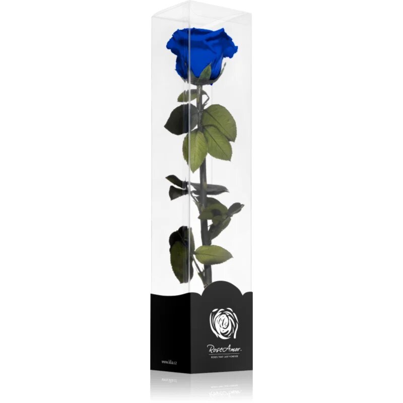RoseAmor Blue stabilizirana vrtnica na steblu 1 kos
