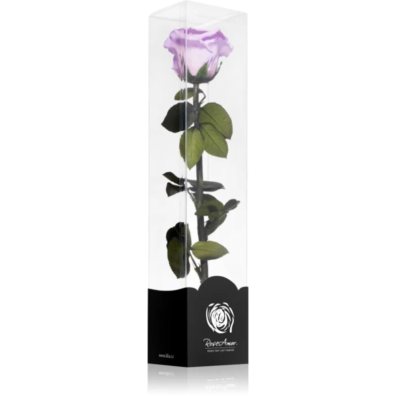 RoseAmor Lila stabilizirana vrtnica na steblu 30 cm 1 kos