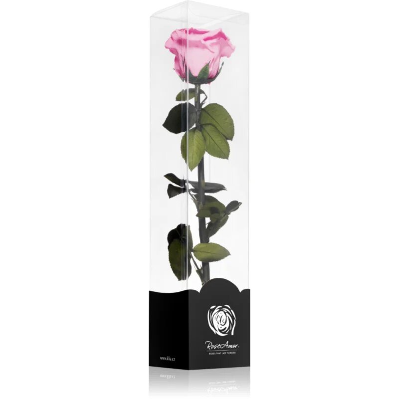 RoseAmor Pink stabilizirana vrtnica na steblu 30 cm 1 kos