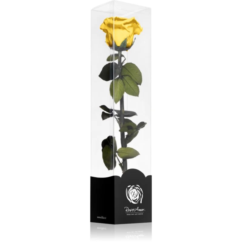 RoseAmor Yellow stabilizirana vrtnica na steblu 30 cm 1 kos