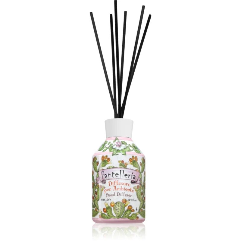 Rudy - Le Maioliche Pantelleria aroma difuzor s polnilom 250 ml