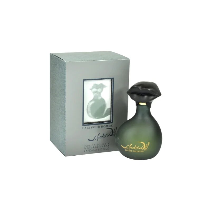 Salvador Dali Pour Homme toaletna voda za moške 100 ml