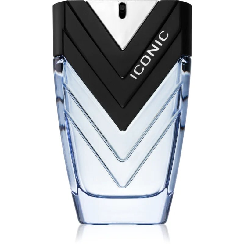 Sapil Iconic parfumska voda za moške 100 ml