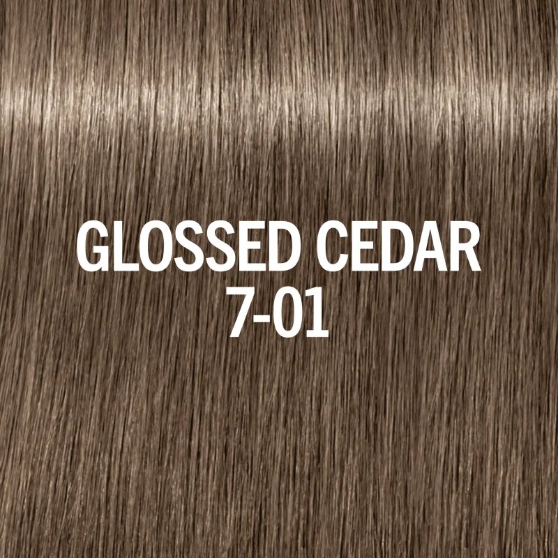 Schwarzkopf Professional Blondme Glow Toner tonirana barva za lase odtenek Glossed Cedar 7-01 60 ml