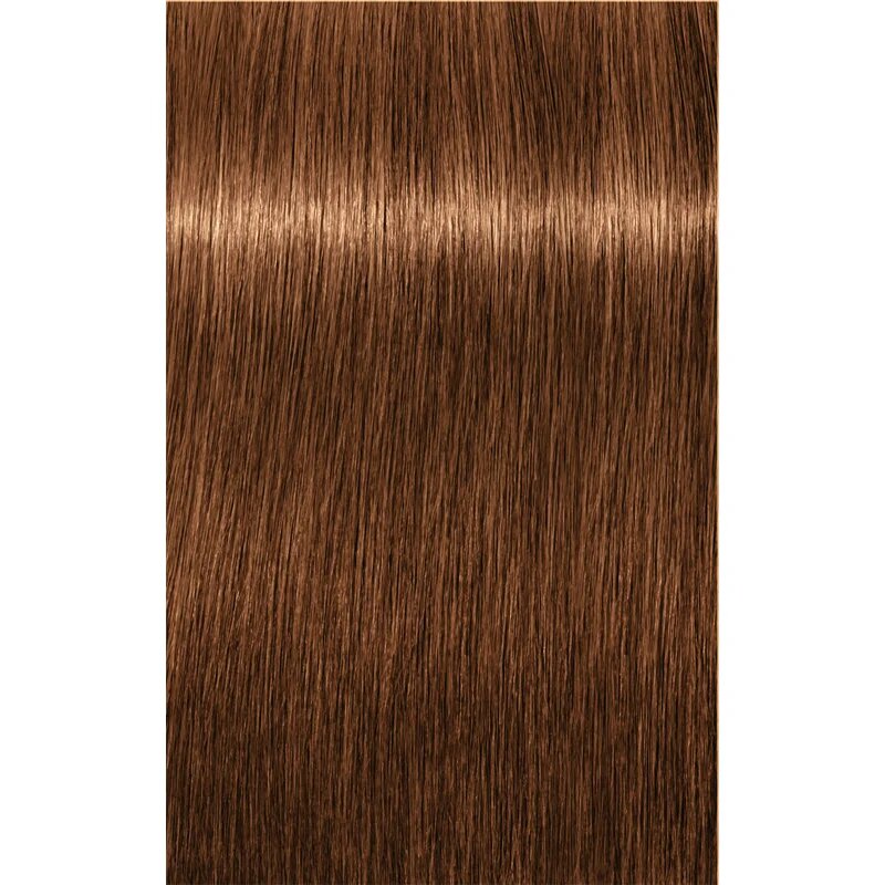 Schwarzkopf Professional IGORA Royal Absolutes barva za lase odtenek 7-60 Medium Blonde Chocolate Natural 60 ml