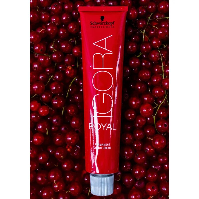 Schwarzkopf Professional IGORA Royal barva za lase odtenek 3-68 60 ml