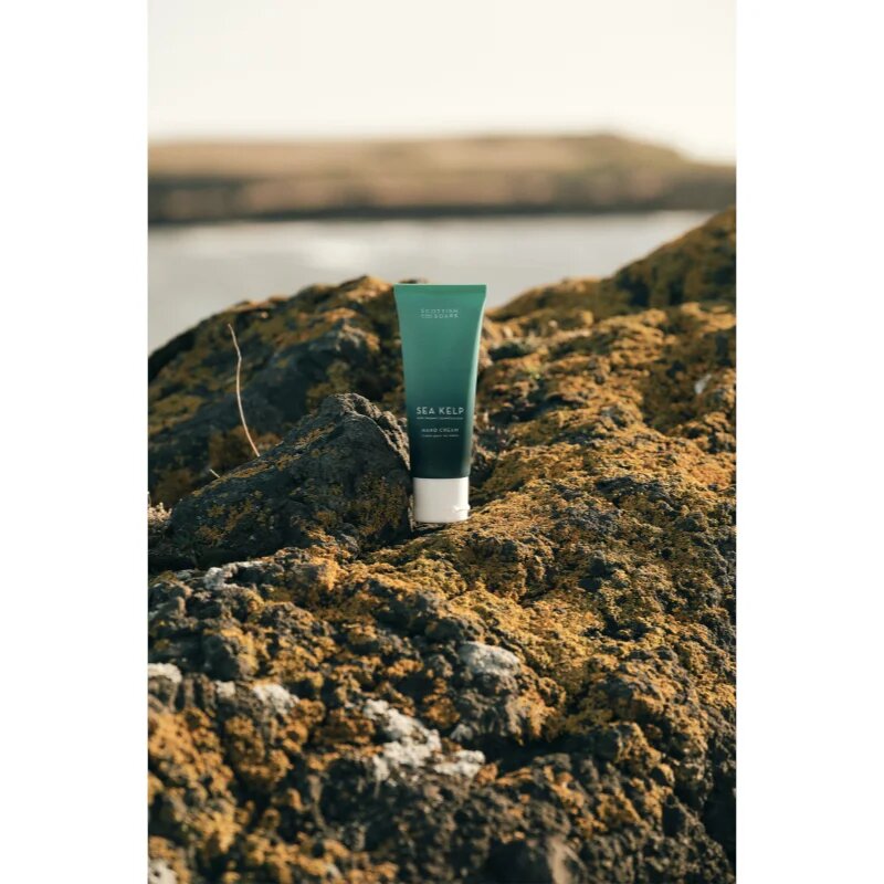 Scottish Fine Soaps Sea Kelp krema za roke 75 ml