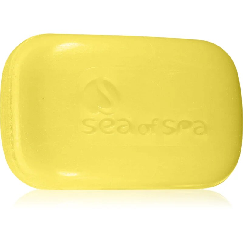 Sea of Spa Essential Dead Sea Treatment trdo milo z žveplom 125 g