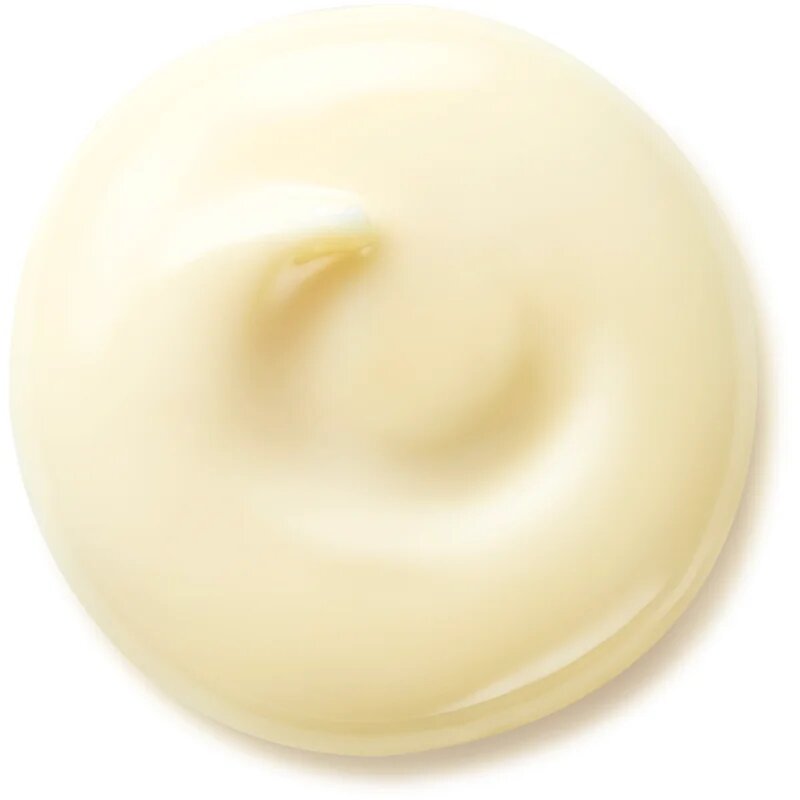 Shiseido Benefiance Wrinkle Smoothing Day Cream dnevna krema proti gubam SPF 25 50 ml
