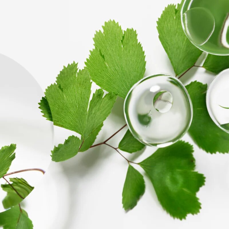 Sisley Ecological Compound Day and Night vlažilna emulzija z regeneracijskim učinkom 125 ml
