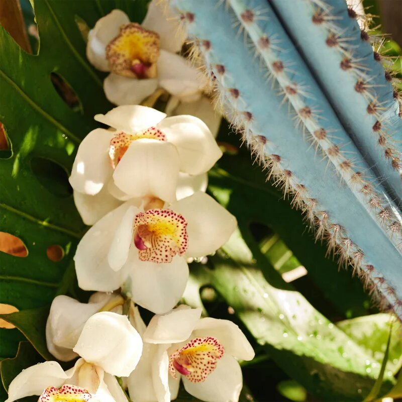Sol de Janeiro Refresco Paraíso odišavljeno pršilo za telo in lase za ženske 90 ml