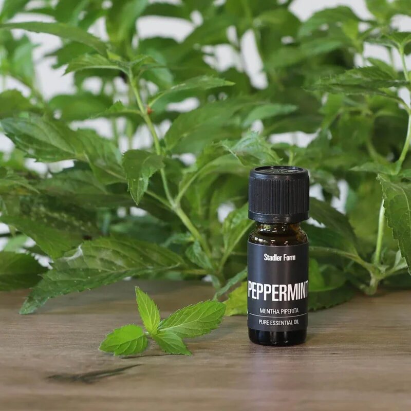 Stadler Form Peppermint eterično olje 10 ml