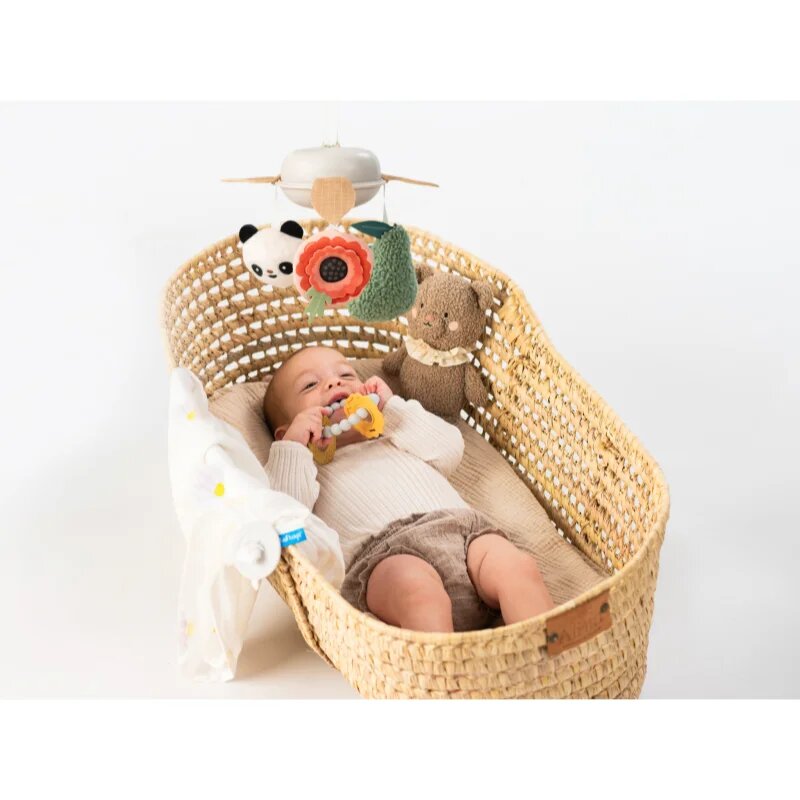 Taf Toys Luxury Newborn Kit darilni set za dojenčke