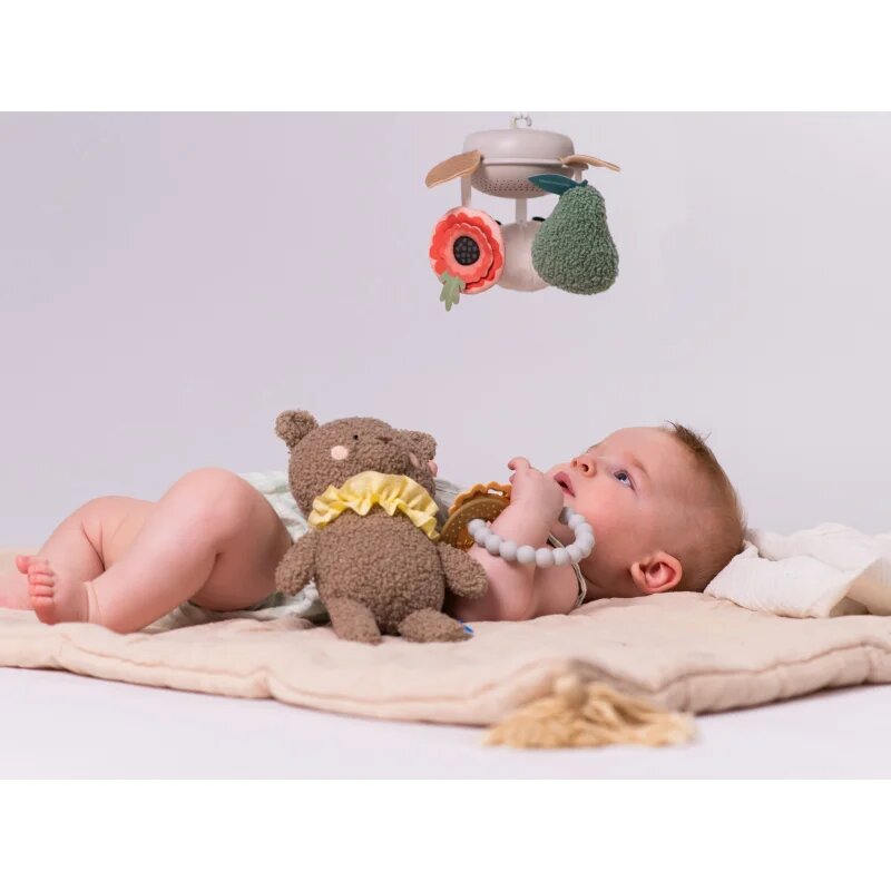 Taf Toys Luxury Newborn Kit darilni set za dojenčke