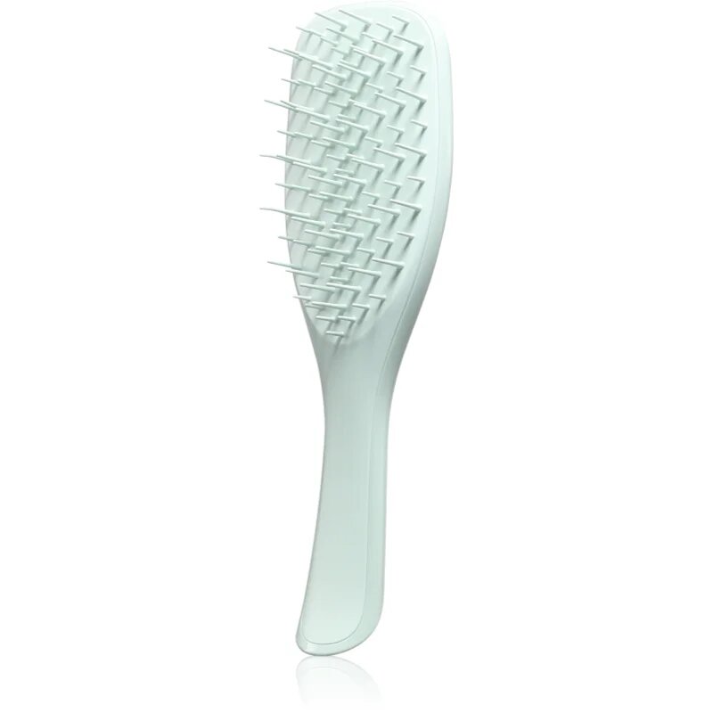 Tangle Teezer The Ultimate Detangler Extra Gentle krtača za tanke lase Eucalyptus Green 1 kos