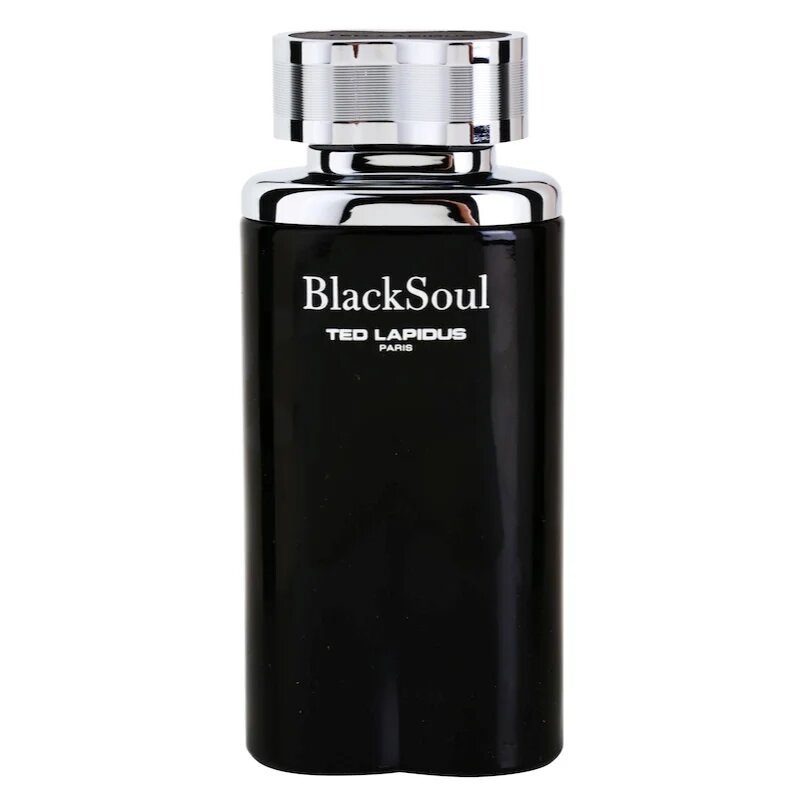 Ted Lapidus Black Soul toaletna voda za moške 100 ml