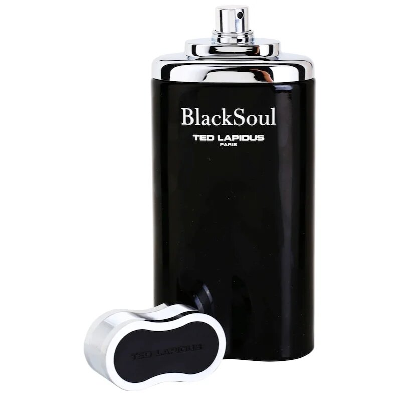 Ted Lapidus Black Soul toaletna voda za moške 100 ml