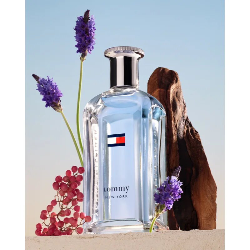 Tommy Hilfiger NEW YORK toaletna voda za moške 100 ml