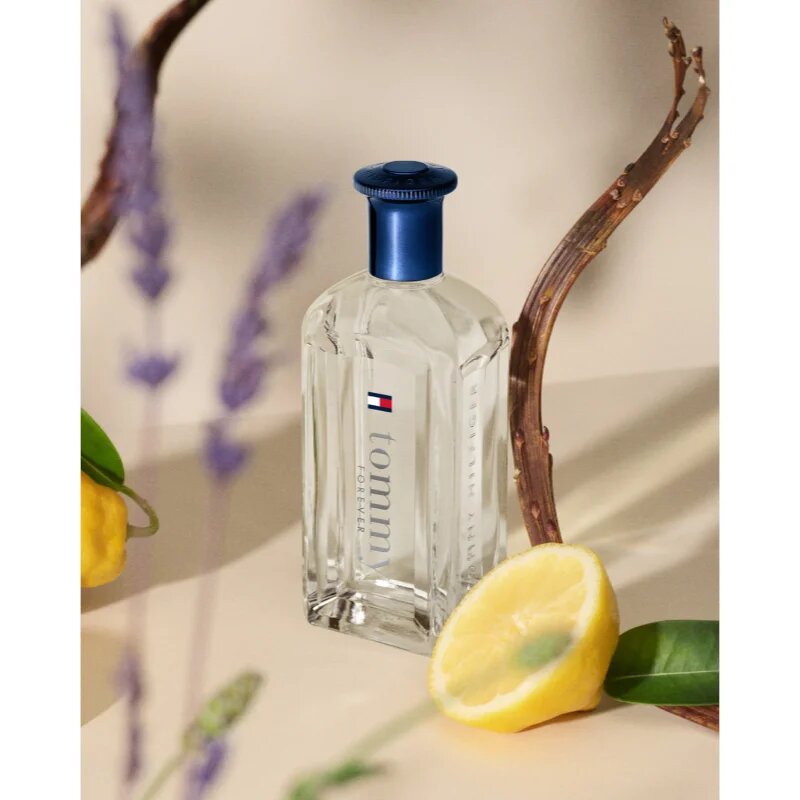 Tommy Hilfiger Tommy Forever toaletna voda za moške 100 ml