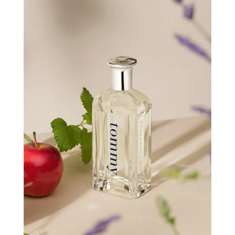 Tommy Hilfiger Tommy toaletna voda za moške 100 ml