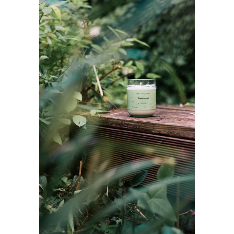 Tropicandle Forest Wood dišeča sveča 170 ml